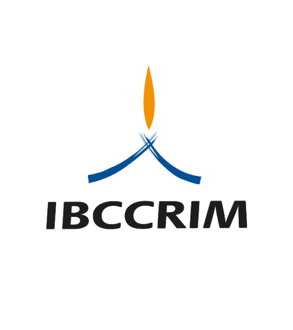 Parecer do IBCCRIM no RE n. 1.055.941/STF